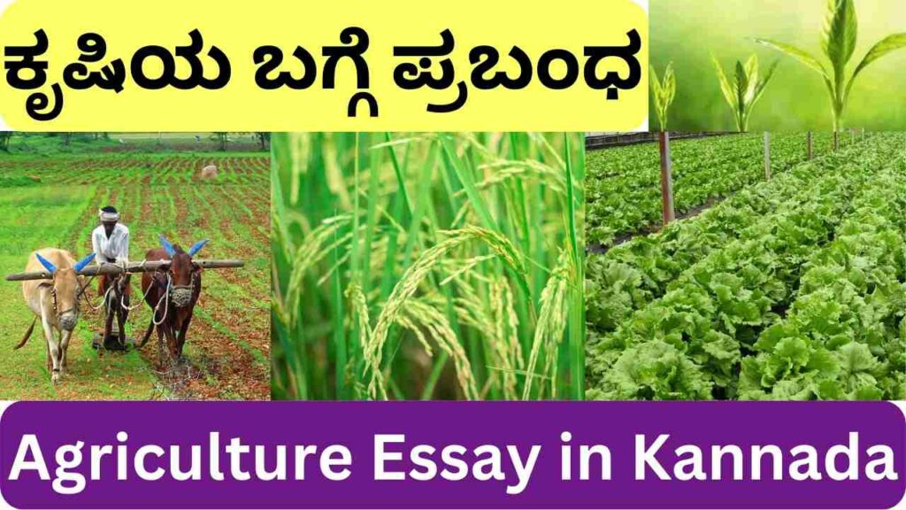 Agriculture Essay in Kannada
